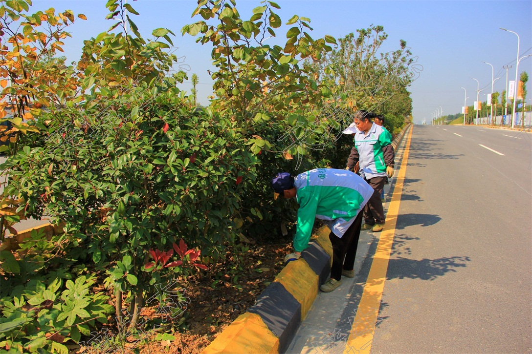 貴陽白云區市政道路